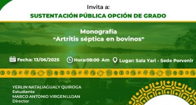 Sustentación Pública Opción de Grado